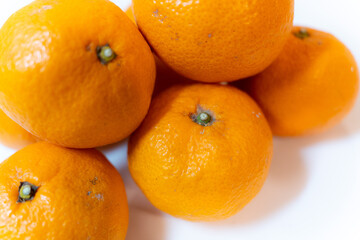 【フルーツ】みかん・蜜柑【果物】