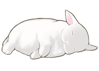 Sleeping white rabbit 