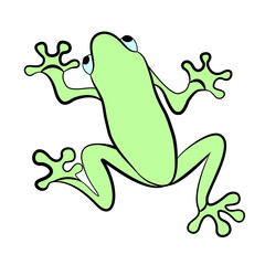 Green tree frog silhouette. Vector.