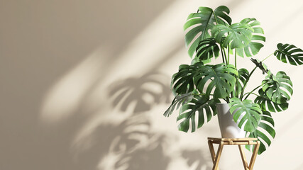 3D render close up of Dracaena loureiri, decoration plants trends, air purifier, in white ceramic pot on wooden table stand in room with leaves morning sunlight shadow on beige wall in background.
