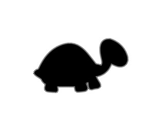 turtle isolated on white