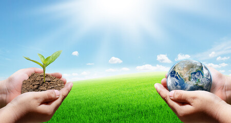 World Environment Day concept, globe or earth and tree in hands on green meadows with beautiful blue sky and white clouds in daylight. Elements of this image furnished by NASA.