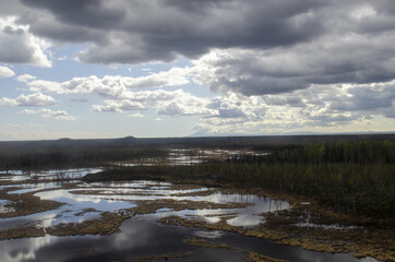 Stream in Alaska near Trapper Lake