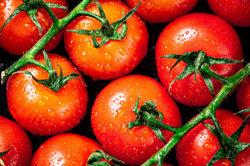 Fototapeta Ripe tomatoes with drops of water. Macro background. High quality photo obraz