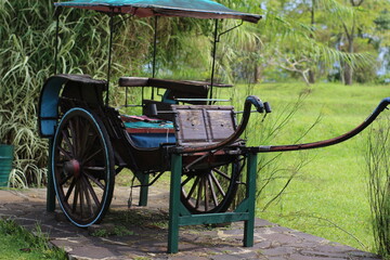 Fototapeta na wymiar Delman is traditional transportation from Indonesia that uses carriages and horses as its propulsion