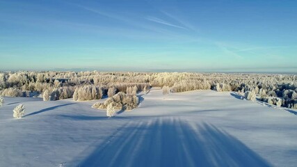 Aerial backward movement shot over the white snow covered idyllic landscape with evergreen tree forest in wintertime. - Powered by Adobe