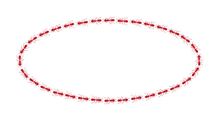 Ants path oval border. Red ant circle trail isolated in white background. Vector illustration
