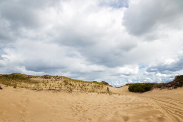 Sand Dunes in Provincetown, Massachusetts