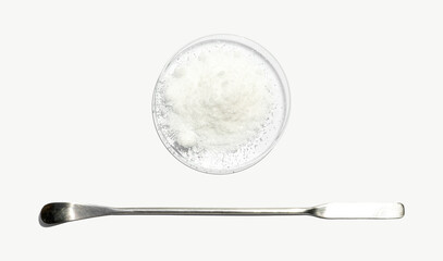 Closeup chemical ingredient on white laboratory table. Di-Ammonium Prosphate in Chemical Watch Glass placed next to the stainless spatula. Top View