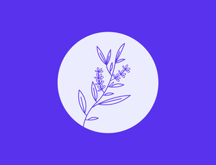lavender fragrance flower line art vector illustration 