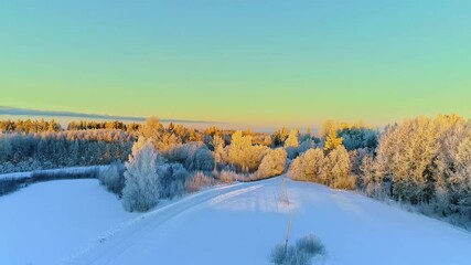 Aerial drone forwarding on a shot over pristine snow covered landscape and trees on a wintry morning. - Powered by Adobe