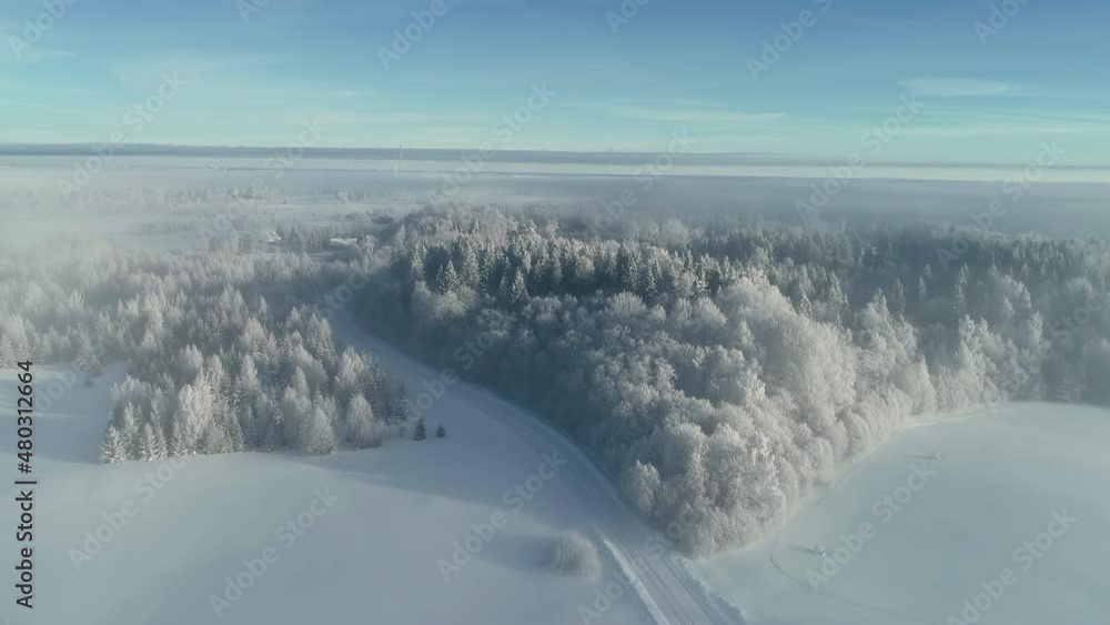 Poster an aerial view zooming in into a misty winter forest with pines covered in snow. a road splitting th