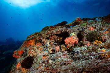 Naklejka na ściany i meble Abandoned ghost net Philippines Coral Reefs