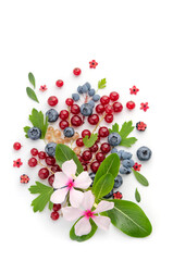 Composition from multi-colored berries and leaves on a white background.