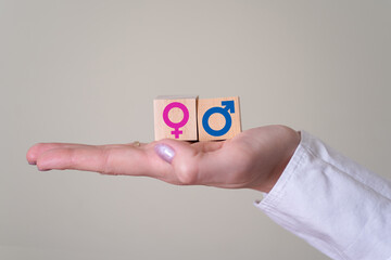 Gender symbol on wooden cubes, hand holding wooden cubes with gender icons.