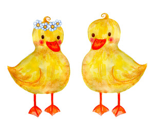Cute watercolor ducklings. Cartoon characters on a white background.