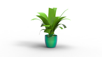big leaf tree on pot with shadow 3d render