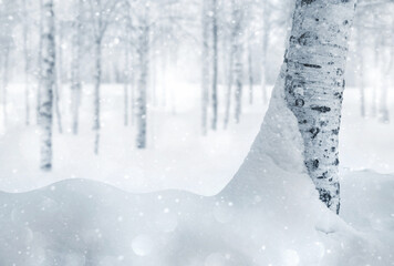 Winter background. Winter landscape with snowy birch trees in the park. Snow covered birch grove.