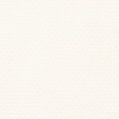 white paper texture.pastel paper.