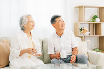 Obraz premium ソファに座る高齢者夫婦（お茶） 
