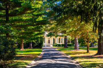 alley in the park
