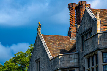 roof