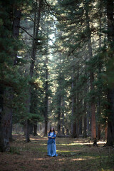 Obraz premium a girl is joking in a cedar forest, a story about a forest elf