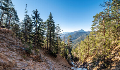 Fototapeta na wymiar Herzogstand Hiking Path to blue sky with sun ray background