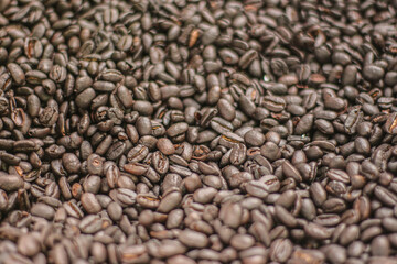 coffee beans background