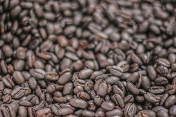 coffee beans background