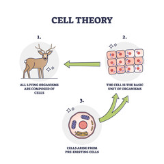 Cell theory for evolution and pre existing cells development outline diagram - obrazy, fototapety, plakaty