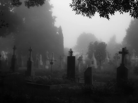 Mystical creepy cemetery in the fog. Crosses and graves in the old abandoned cemetery. Place of burial.