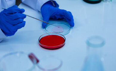 Closeup shot of unrecognizable unknown scientist in white lab coat and rubber gloves hands using...