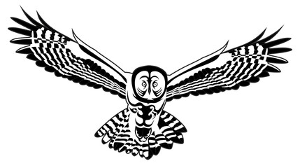 owl - a predatory flying bird with a pattern on the body in the form of a tattoo