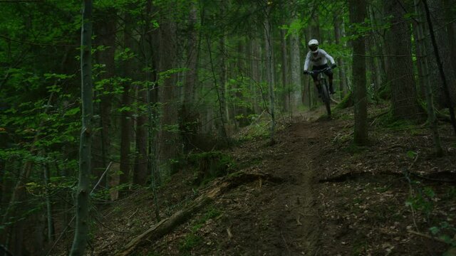 A cyclist kicks up a lot of dust while riding a trail in a forest