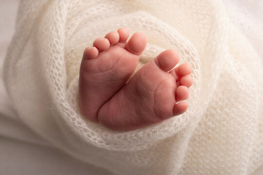 The tiny foot of a newborn. Soft feet of a newborn in a white woolen blanket. Close up of toes, heels and feet of a newborn baby. Studio Macro photography. Woman's happiness. Concept.