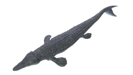 3d rendered illustration of a Mosasaurus