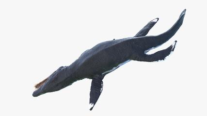 3d rendered illustration of a Liopleurodon