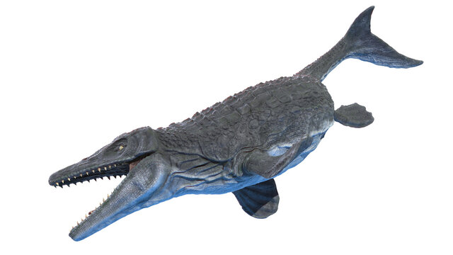 3d rendered illustration of a Mosasaurus