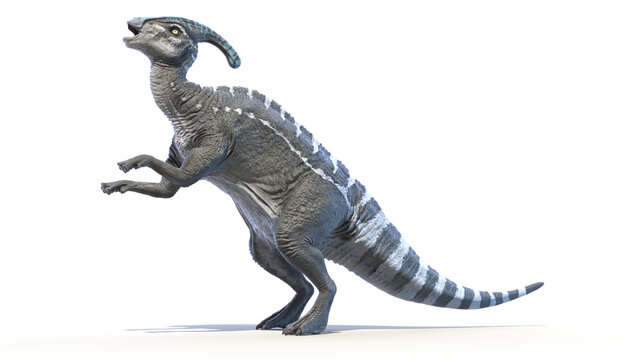 3d rendered illustration of a Parasaurolophus
