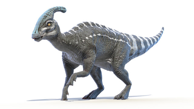 3d rendered illustration of a Parasaurolophus