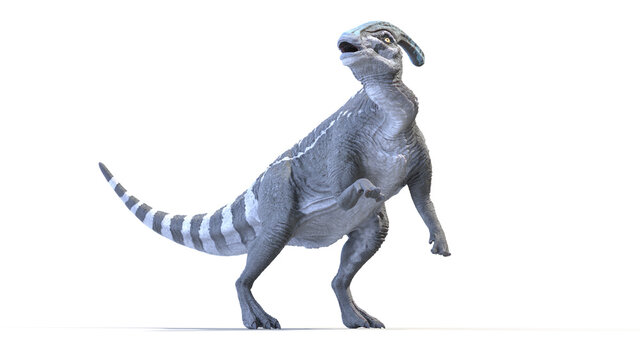 3d rendered illustration of a Parasaurolophus