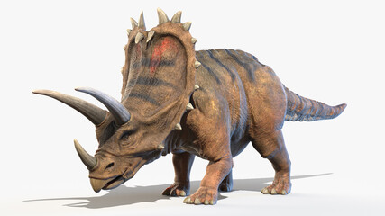 3d rendered illustration of a Pentaceratops © Sebastian Kaulitzki