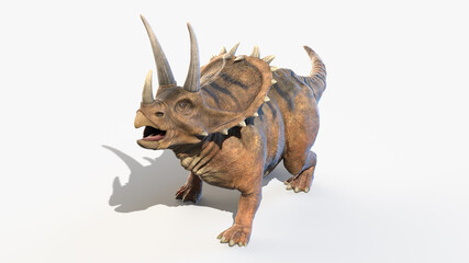 Fototapeta premium 3d rendered illustration of a Pentaceratops