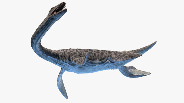 3d rendered illustration of a Plesiosaurus