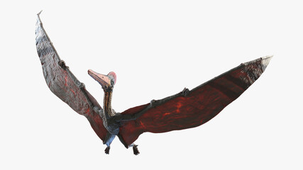 3d rendered illustration of a Pterodactyl © Sebastian Kaulitzki
