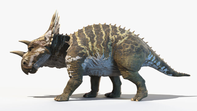 3d rendered illustration of a Regaliceratops