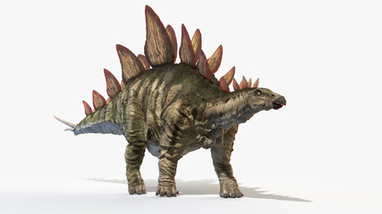 3d rendered illustration of a Stegosaurus - 480336275