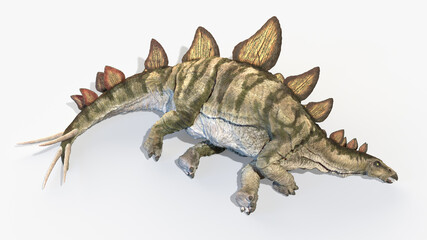 3d rendered illustration of a Stegosaurus
