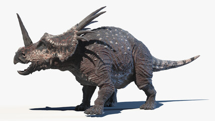 Fototapeta premium 3d rendered illustration of a Styracosaurus
